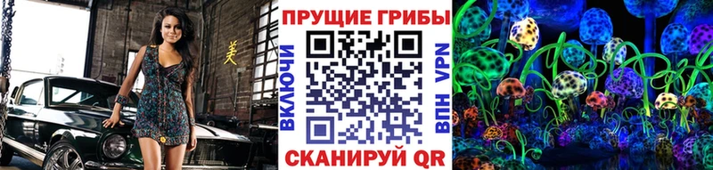 Псилоцибиновые грибы Cubensis  blacksprut сайт  Белогорск  где купить  